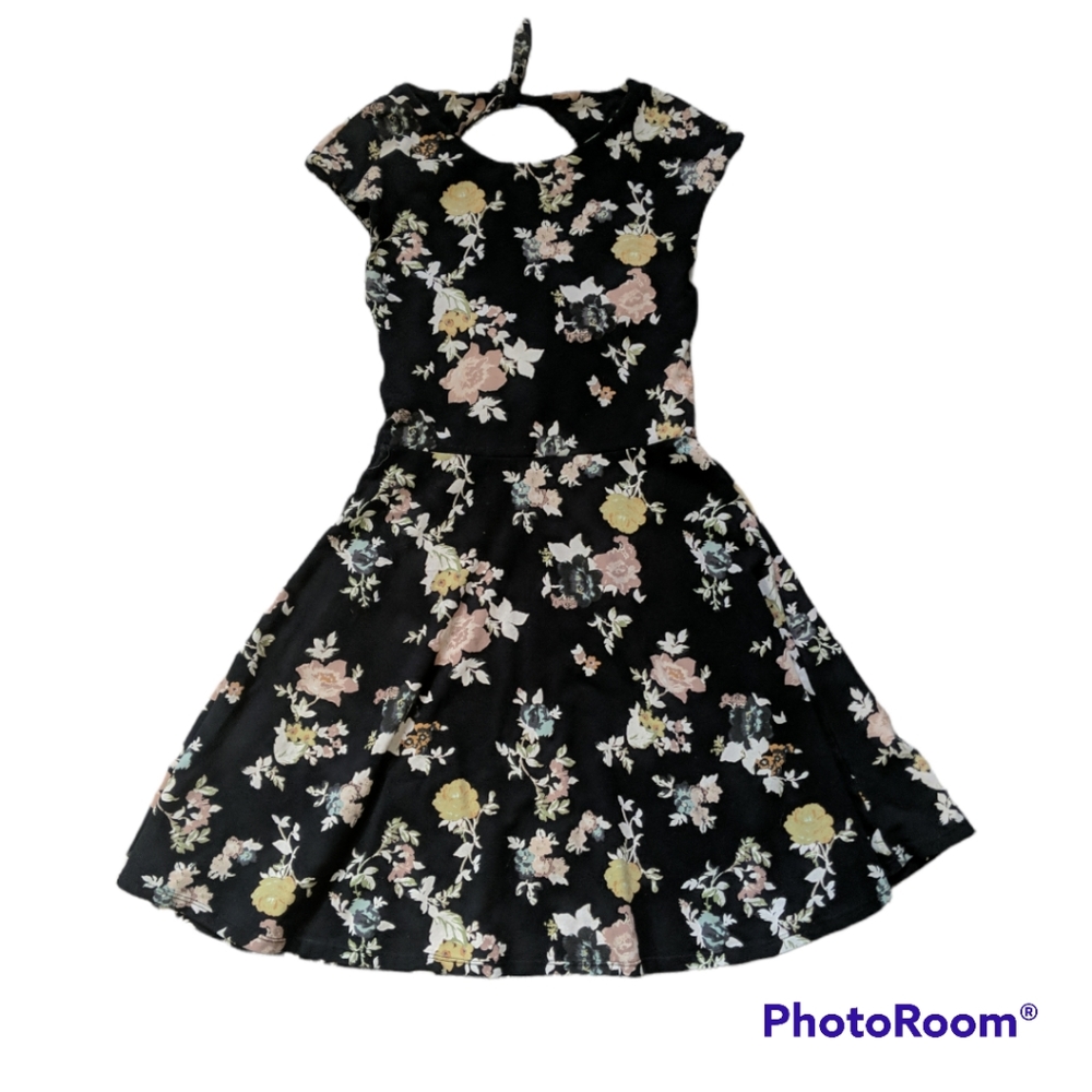 Aritzia Talula Palmetto Floral Skater Dress S